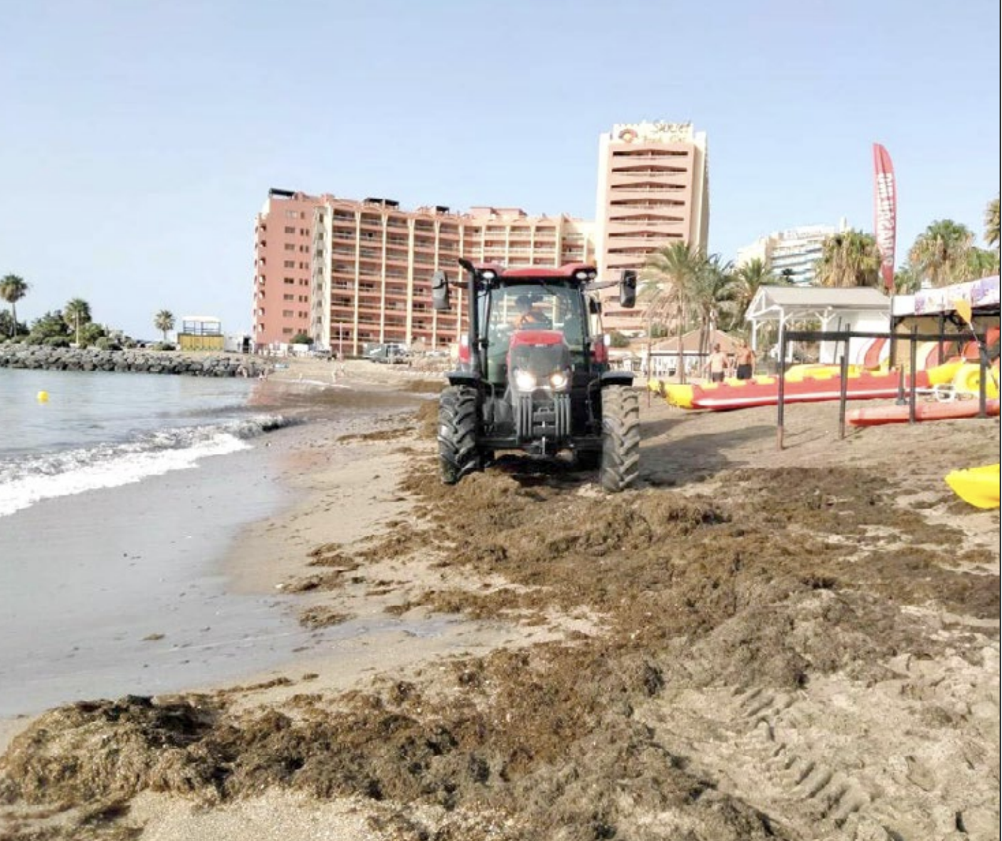 Retirada de algas de las playas de Benalmádena