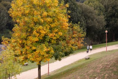 Otoño temperaturas