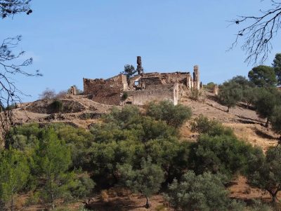 Lagar de Chinchilla Montes de Málaga