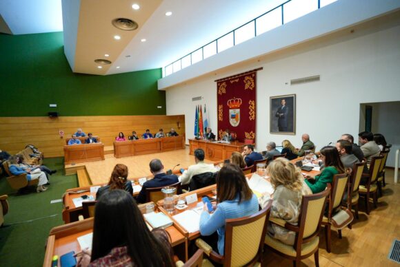 Pleno de Torremolinos del mes de enero